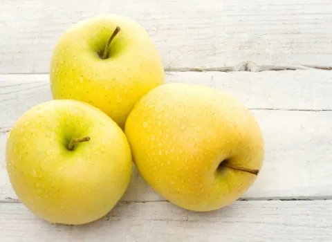 https://shp.aradbranding.com/قیمت سیب درختی ارومیه + خرید باور نکردنی